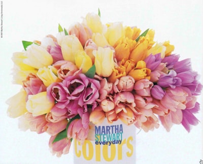 Martha Stewart Colors