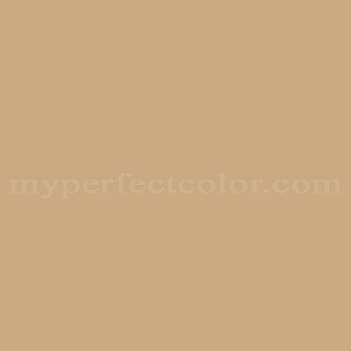 Benjamin Moore 1096 Bridgewater Tan Precisely Matched For Paint and Spray  Paint