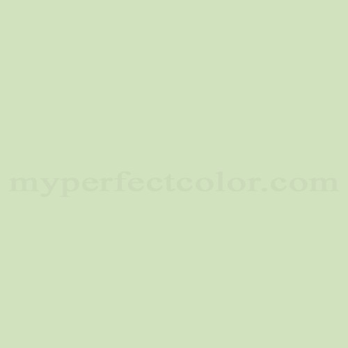 546 Courtyard Green - Paint Color