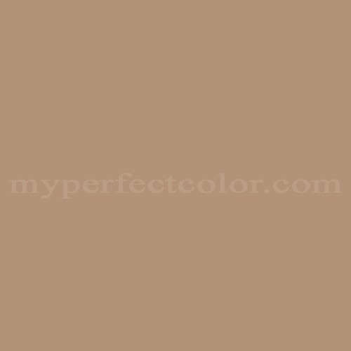 Benjamin Moore 2156-10 Autumn Orange Precisely Matched For Paint and Spray  Paint