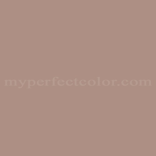 Color Your World 60YR31/135 Toronto Taupe Precisely Matched For Paint and  Spray Paint