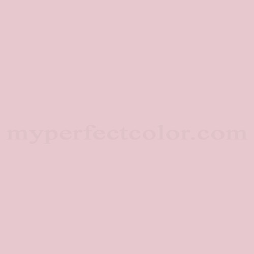 Pantone 13-1904 TPG Chalk Pink Precisely Matched For Spray Paint and Touch  Up