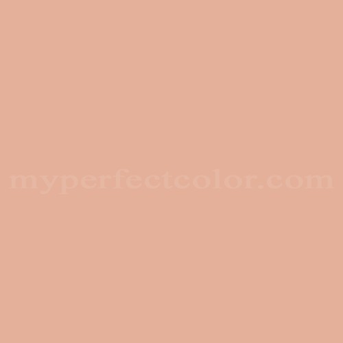 Pantone Smart 15-1319 TCX Color Swatch Card | Almost Apricot