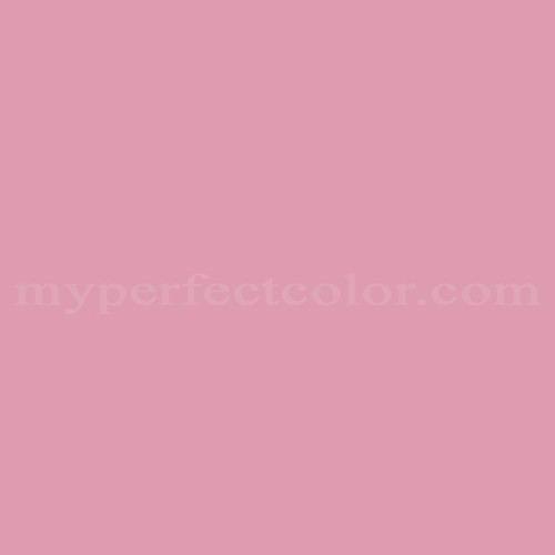Pantone Barely Pink  Pantone pink, Pantone colour palettes, Pantone  swatches