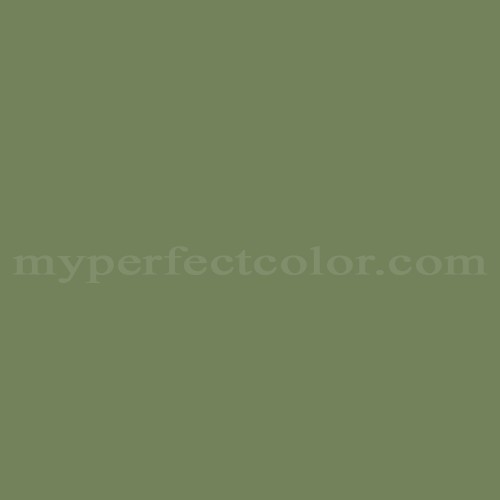 PPG Pittsburgh Paints 4430 Boxwood Green Precisely Matched For Paint and Spray  Paint