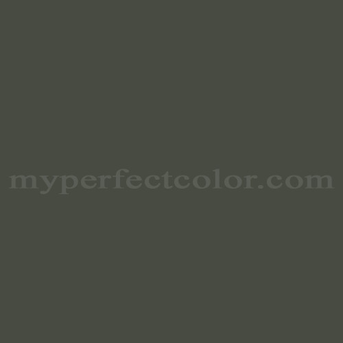 Sherwin Williams SW6209 Ripe Olive Precisely Matched For Paint and Spray  Paint