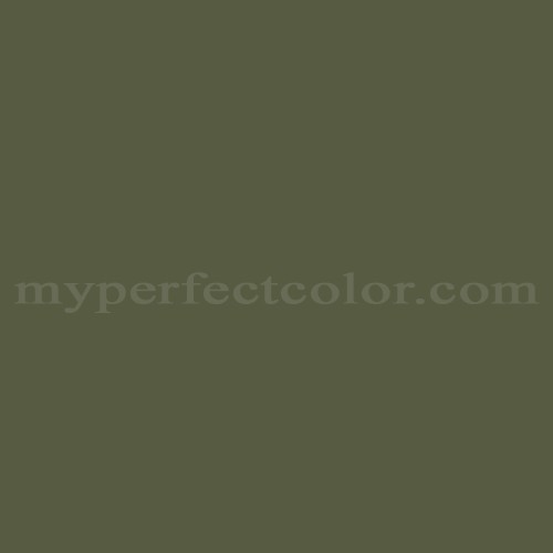 US Government US Military Spec Camouflage Dark Green Precisely