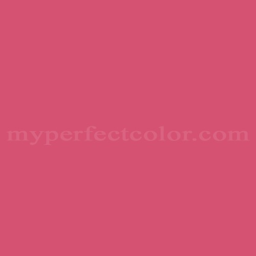 Project Source Gloss Pink/Gloss Spray Paint (NET WT. 12-oz in the Spray  Paint department at