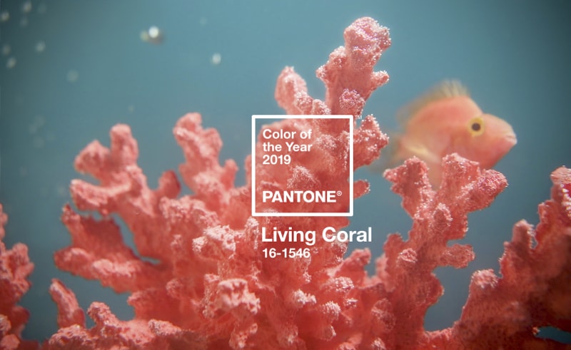 Pantone Living Coral 16-1546